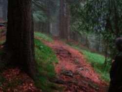 2013-06-23_Sonnenspitz_Jochberg (431)b.JPG